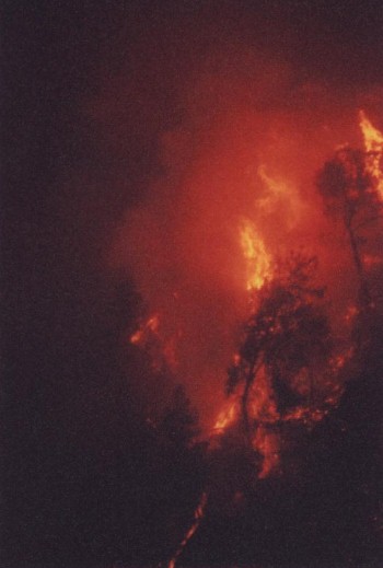 Hunter Fire, Bear Valley CA