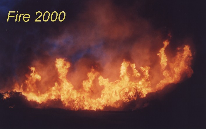 Hunter Fire, Bear Valley, August 2000