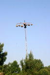 Gourd bird houses