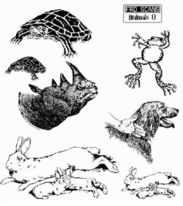 Animals 8