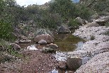 Desert Stream