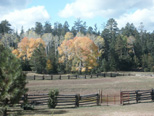 Aspins & Rail Fence