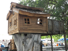 Tree house on huge section of cottonwood trunk