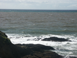 The brown, green and blue Pacific
