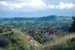 Little Table Mountain, Madera County - Spring