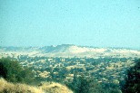 Little Table Mountain, Madera County - Summer