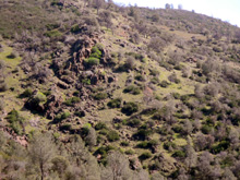 Rocky slope across the canyon from the trail