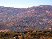 Switchbacks on steep old roads lead to mines hidden in the hills between Coulterville & Bagby