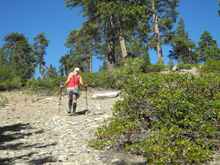 Teri on the way up Jeffrey Pine Hill