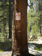 Not the sign you expect to see deep in the woods