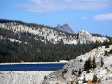 Dogtooth Peak above Courtright
