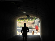 Through the Old Town Trail tunnel under Herndon Avenue in Clovis