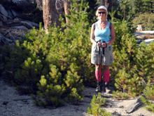 Teri stands in a mini-forest of young pine trees