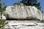 This boulder displays another type of weathering