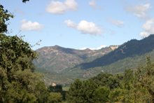 Looking across the Napa Valley