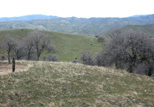 Looking north from Highway 58, Kern County