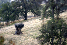 Mushroom rock near Hensley Reservoir