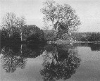 Pond near Mariposa