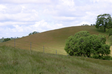 The fenced off park area contrasts with grazing land