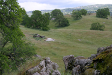 Rocks and oaks near Hensley