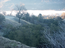 Frosty morning near Oakhurst