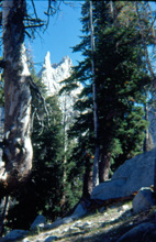 A closer view of Cathedral Peak
