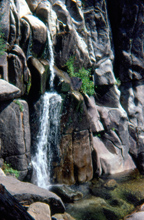 Chilnualna Creek near Wawona