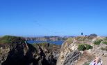 Pelicans approaching over the bluffs