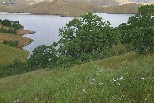 San Luis Reservoir
