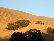 Hills east of the park, late afternoon sun
