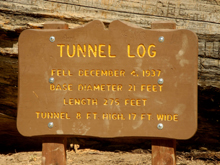 Sign at Tunnel Log
