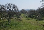 Near Highway 41 north of Fresno