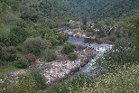 Kings River above Pine Flat
