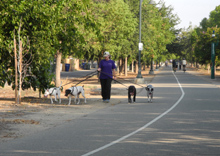 People on the Clovis Old Town Trail 2