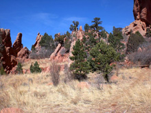 Rocks, trees and dry grass