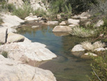 Stream in Superstition Mountains