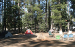 Campsite, 2009