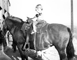 Terry on Grandpa & Grandma Callan's horse