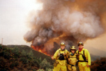Francoise Tremblay, Jennifer Neely, and Dan Patchett at the Hunter Fire near Bear Valley, Mariposa County CA, Aug 2000
