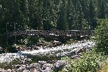 Foot bridge, Lochsa River