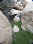 Hidden Valley, Joshua Tree National Park