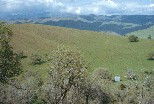 Near Highway 58, Kern County