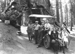 Charlie Walker left rear with Nelson family, at Wawona Tree 