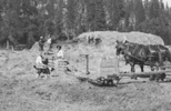 Baling hay in meadow just south of where Wawona golf course is today