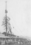 Schlageter Hotel - trimming its famous flag pole