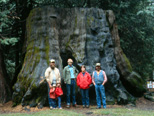 Jim McGee, Dick Estel, Sandy, Angie & Rachel McGee and Gary Reed at stump in Nelder Grove, 1983