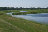 The not so mighty beginnings of the Mississippi River in Minnesota
