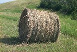 Big round bale