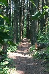 On the trail in Oak Openings