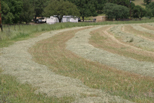 Another view of hay fields